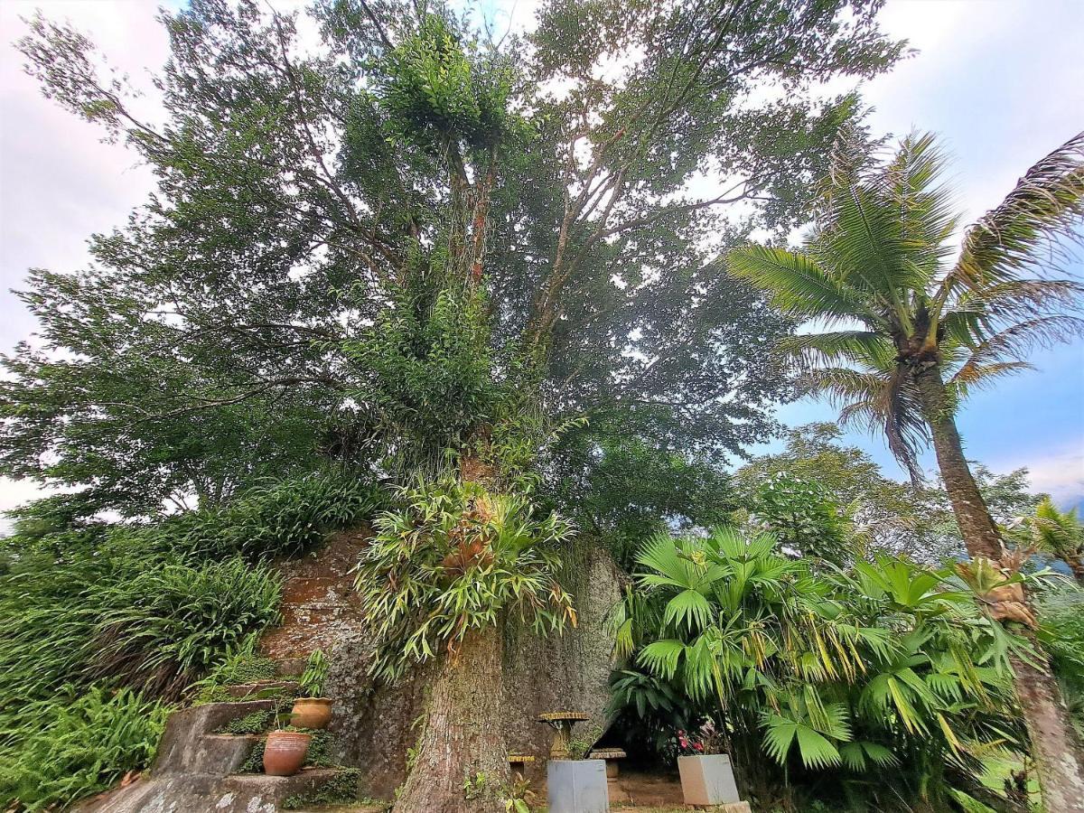 Paradisiaco, Piscina E Churrasqueira Em グアピミリム エクステリア 写真